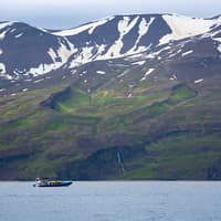 Husavik: Whale Watching and Puffin Tour on RIB speedboat — gallery 2