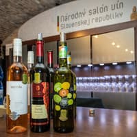 Bratislava: Guided Culinary Day Trip from Vienna — gallery 1