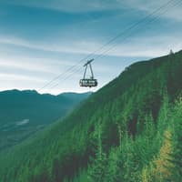 Grouse Mountain & Capilano Suspension Bridge Park: Guided Tour — gallery 4