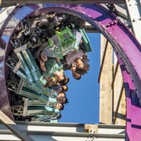 Busch Gardens Tampa: Entry Ticket with Optional Quick Queue — gallery 1