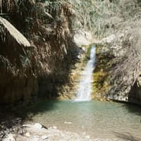 Masada, Ein Gedi & Dead Sea: Roundtrip from Tel Aviv — gallery 3