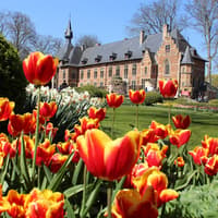 Groot-Bijgaarden Castle: Floralia Brussels Entry Ticket — gallery 1