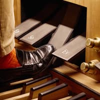 St. Stephen's Cathedral: Giant Organ Concerts Ticket — gallery 3