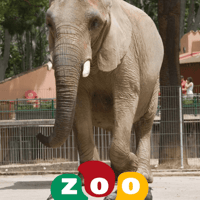 Tickets to Barcelona Zoo — gallery 1