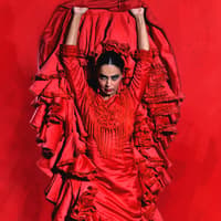 Sensaciones - Teatro Flamenco Granada — gallery 3