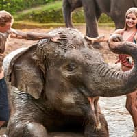 Bali Zoo Tickets with Elephant Feeding & Mud Bath — gallery 1