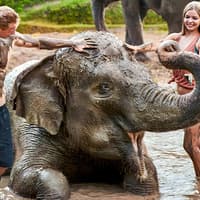 Bali Zoo Combo: Entry Ticket, Breakfast with Orangutans & Elephant Mud Fun — gallery 2