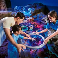 SEA LIFE Bangkok Tickets — gallery 3