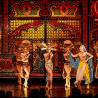Moulin Rouge Show with Champagne — gallery 4