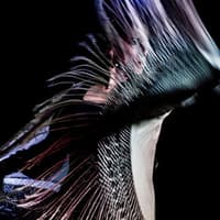 Madrid: Flamenco Show at Café Ziryab + Drink — gallery 4