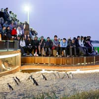 From Melbourne: Brighton Beach, Moonlit Sanctuary & Phillip Island Day Trip with Penguin Parade — gallery 1