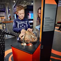 Combo: NEMO Science Museum Tickets + Amsterdam Canal Cruise — gallery 5