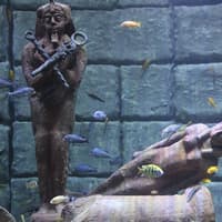 Antalya Aquarium & Face 2 Face Wax Museum — gallery 1