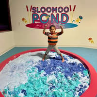 Sloomoo Institute - Chicago: Entry Ticket — gallery 4