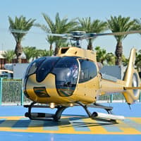 12-Minute Dubai Helicopter Tour From Atlantis, The Palm — gallery 3