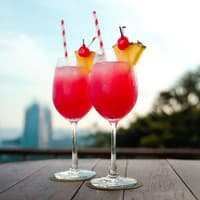 Singapore Cable Car SkyPass with Meals at Arbora Cafe — gallery 3