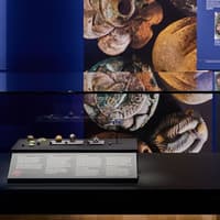 Melbourne Museum: Treasures of the Viking Age - The Galloway Hoard — gallery 3