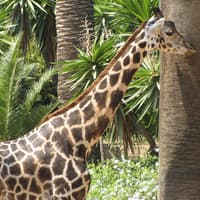 Barcelona Zoo: Skip The Line Ticket — gallery 4