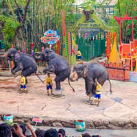 Safari World + Marine Park Tickets with Lunch and Optional Transfers — gallery 1
