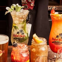 Hard Rock Cafe Orlando Dining Experience, Hard Rock Cafe Orlando, Orlando