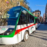 City Tour: Granada Hop-on Hop-off Train Tour — gallery 4