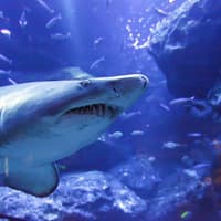 Sumida Aquarium Tickets — gallery 1