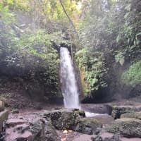 Ubud: Privat rundtur med guide + transport, Ubud