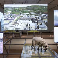 Stedelijk Museum Skip-the-Line Tickets — gallery 2