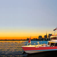Evening Themed Cruise on Danube River with Dinner & Live Music — gallery 1