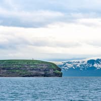 Husavik: Whale Watching and Puffin Tour on RIB speedboat — gallery 3