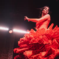 Flamenco De Leones - Flamenco Show — gallery 4