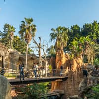 Bioparc Fuengirola Tickets — gallery 2