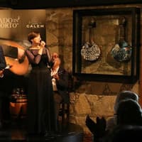Tickets to Fado Concert in Calem Caves — gallery 1