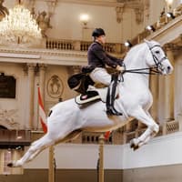 Spanish Riding School Performance of the Lippizans (70 min) — gallery 1