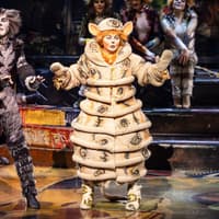 Cats — gallery 3