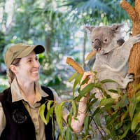 Lone Pine Koala Sanctuary Tickets with Brisbane River Cruise — gallery 1