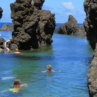 Enchanted Terraces: Guided Madeira Excursion — gallery 1