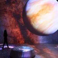 Illuminarium Atlanta: Entry Ticket — gallery 4