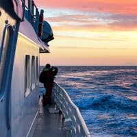 From Reykjavik: Midnight Sun Whale Watching Tour — gallery 1