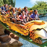 Busch Gardens Tampa: Entry Ticket with Optional Quick Queue — gallery 4