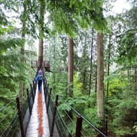 Vancouver: Guided Tour + Capilano Suspension Bridge Park Visit + Lunch — gallery 1