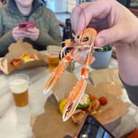 Dublin Coastal Craft Beer and Seafood Trail: Guided Tour — gallery 2