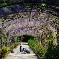 Boboli Gardens Guided Tour — gallery 5