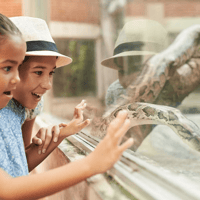 Bioparco - Zoo of Rome: Open Ticket — gallery 3