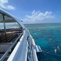 Great Barrier Reef & Daintree Rainforest: 2-Day Tour + Lunch — gallery 4