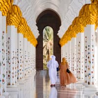 From Dubai: Abu Dhabi Full-Day City Tour with Louvre Museum & Sheikh Zayed Grand Mosque — gallery 2