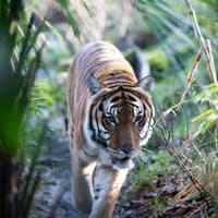 Woodland Park Zoo: Skip The Line Ticket — gallery 4