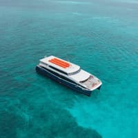 Cozumel: Roundtrip Ferry To/From Playa del Carmen — gallery 4