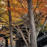 Keihan Railway Kyoto–Osaka & Osaka Metro: 1-Day or 24-Hour Pass — gallery 1