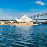 Sunrise Kayak on Sydney Harbour with Breakfast — gallery 4